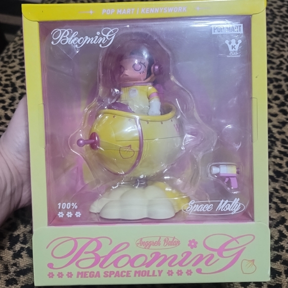 Mega Space Molly 100% Blooming Anggrek Bulan-Indonesia
